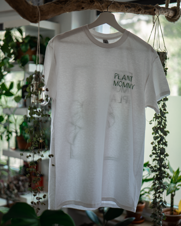 PLANT – Bild 5