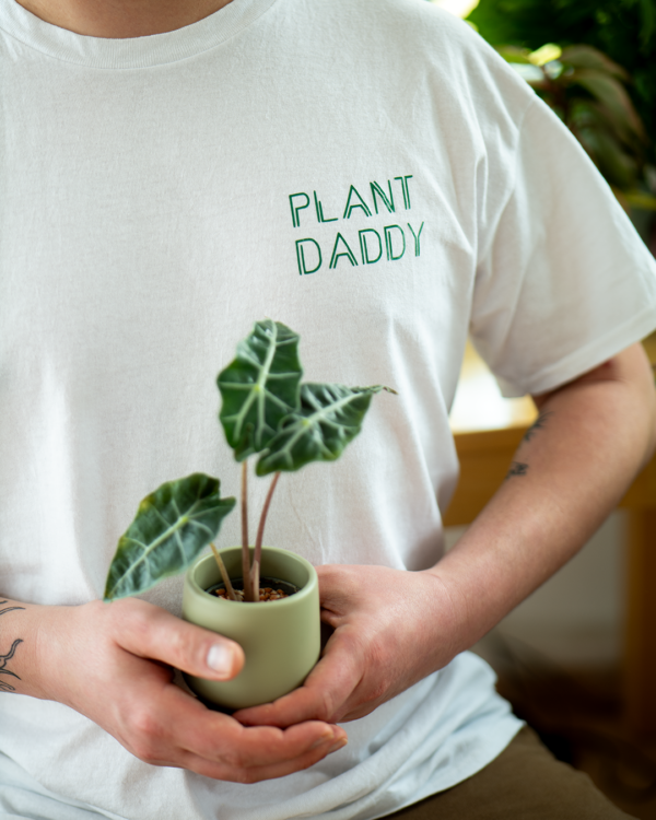 PLANT – Bild 6